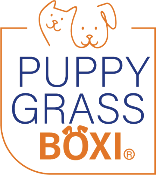 Puppy Grass Boxi